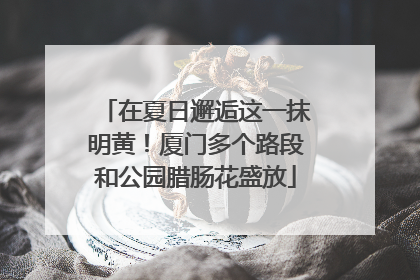 在夏日邂逅这一抹明黄！厦门多个路段和公园腊肠花盛放