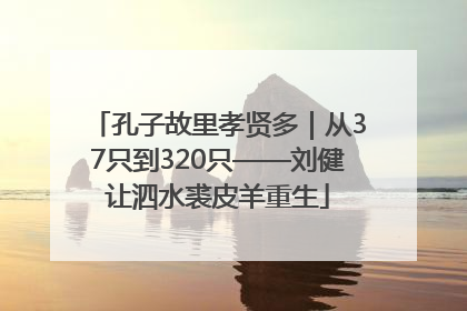 孔子故里孝贤多｜从37只到320只——刘健让泗水裘皮羊重生
