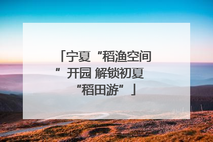 宁夏“稻渔空间”开园 解锁初夏“稻田游”