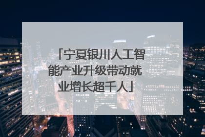 宁夏银川人工智能产业升级带动就业增长超千人