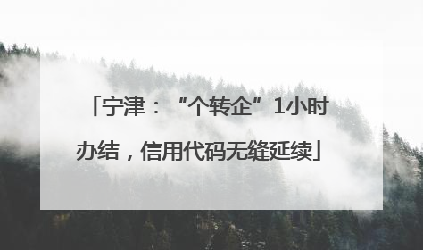 宁津：“个转企”1小时办结，信用代码无缝延续