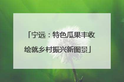 宁远：特色瓜果丰收绘就乡村振兴新图景