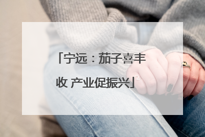 宁远：茄子喜丰收 产业促振兴