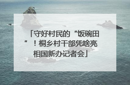 守好村民的“饭碗田”！桐乡村干部凭啥亮相国新办记者会