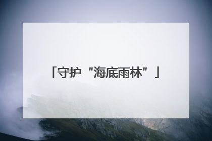 守护“海底雨林”