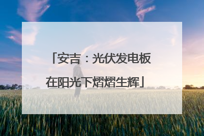 安吉：光伏发电板在阳光下熠熠生辉