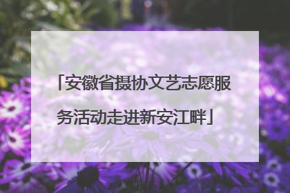 安徽省摄协文艺志愿服务活动走进新安江畔