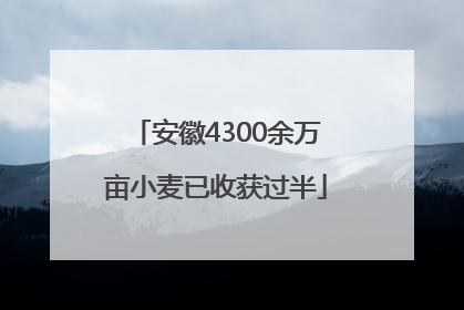 安徽4300余万亩小麦已收获过半