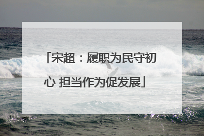 宋超：履职为民守初心 担当作为促发展