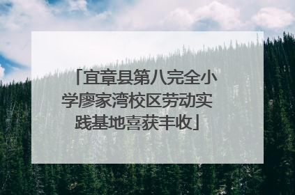 宜章县第八完全小学廖家湾校区劳动实践基地喜获丰收