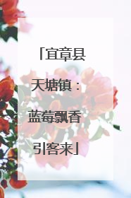 宜章县天塘镇：蓝莓飘香引客来