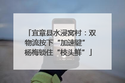 宜章县水浸窝村：双物流按下“加速键” 杨梅锁住“枝头鲜”