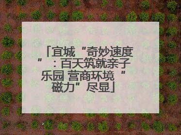 宜城“奇妙速度”：百天筑就亲子乐园 营商环境“磁力”尽显