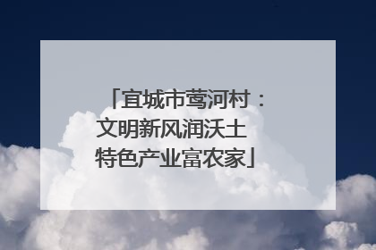 宜城市莺河村：文明新风润沃土 特色产业富农家