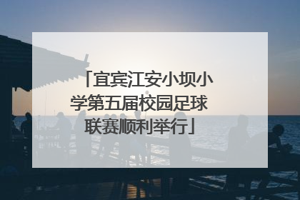 宜宾江安小坝小学第五届校园足球联赛顺利举行
