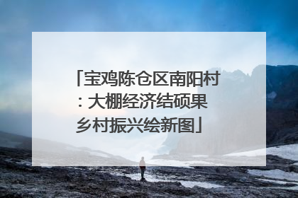 宝鸡陈仓区南阳村：大棚经济结硕果 乡村振兴绘新图