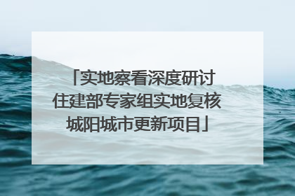 实地察看深度研讨 住建部专家组实地复核城阳城市更新项目