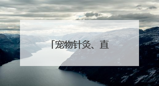 宠物针灸、直播带货……职教周上秀绝活