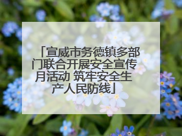 宣威市务德镇多部门联合开展安全宣传月活动 筑牢安全生产人民防线
