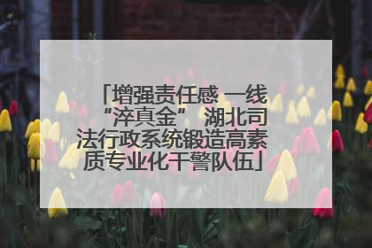 增强责任感 一线“淬真金” 湖北司法行政系统锻造高素质专业化干警队伍