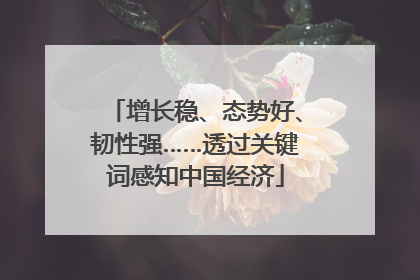 增长稳、态势好、韧性强……透过关键词感知中国经济