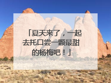 夏天来了，一起去托口尝一颗最甜的杨梅吧！