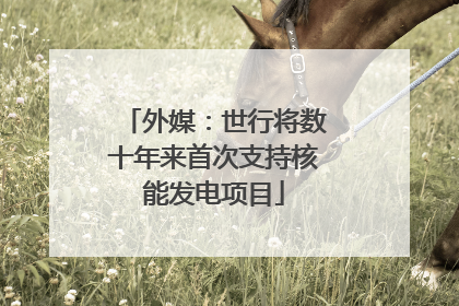 外媒：世行将数十年来首次支持核能发电项目