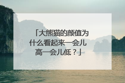大熊猫的颜值为什么看起来一会儿高一会儿低？