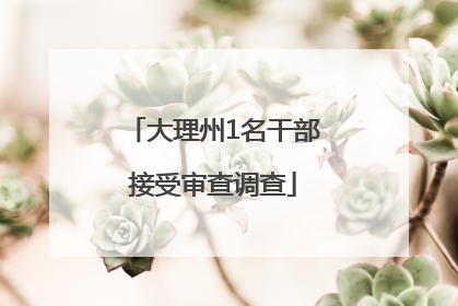 大理州1名干部接受审查调查