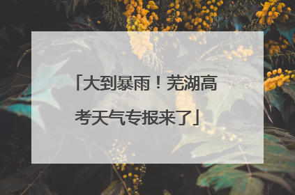 大到暴雨！芜湖高考天气专报来了