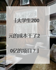 大学生200元的成本干了20亿的项目？