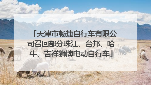 天津市畅捷自行车有限公司召回部分珠江、台邦、哈牛、吉祥狮牌电动自行车