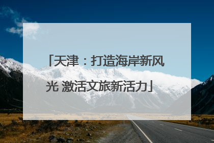天津：打造海岸新风光 激活文旅新活力