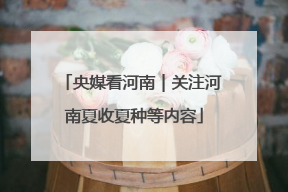 央媒看河南｜关注河南夏收夏种等内容