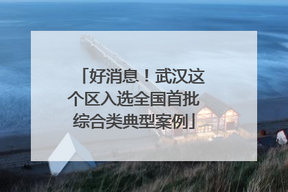 好消息！武汉这个区入选全国首批综合类典型案例