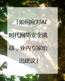 如何应对AI时代网络安全挑战，业内专家给出建议