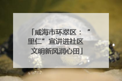 威海市环翠区：“里仁”宣讲进社区 文明新风润心田