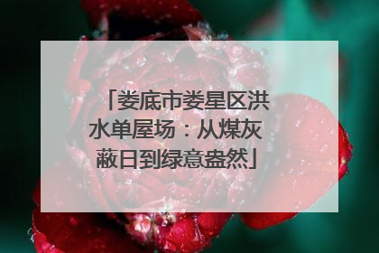 娄底市娄星区洪水单屋场：从煤灰蔽日到绿意盎然