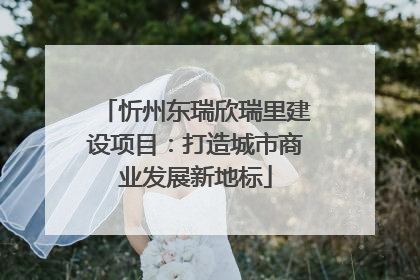忻州东瑞欣瑞里建设项目：打造城市商业发展新地标