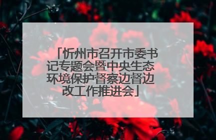 忻州市召开市委书记专题会暨中央生态环境保护督察边督边改工作推进会