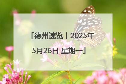 德州速览丨2025年5月26日 星期一