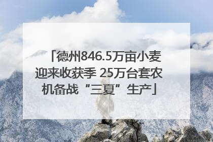 德州846.5万亩小麦迎来收获季 25万台套农机备战“三夏”生产
