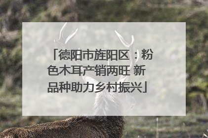 德阳市旌阳区：粉色木耳产销两旺 新品种助力乡村振兴