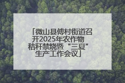 微山县傅村街道召开2025年农作物秸秆禁烧暨“三夏”生产工作会议
