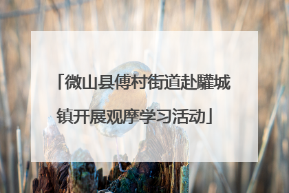 微山县傅村街道赴驩城镇开展观摩学习活动