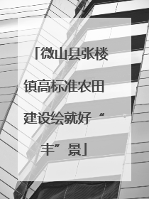 微山县张楼镇高标准农田建设绘就好“丰”景