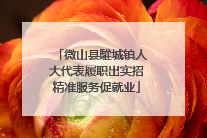 微山县驩城镇人大代表履职出实招精准服务促就业