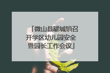 微山县驩城镇召开学区幼儿园安全暨园长工作会议
