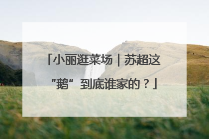 小丽逛菜场｜苏超这“鹅”到底谁家的？