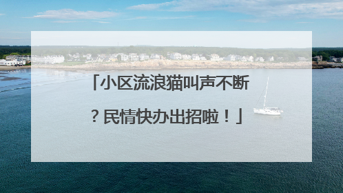 小区流浪猫叫声不断？民情快办出招啦！